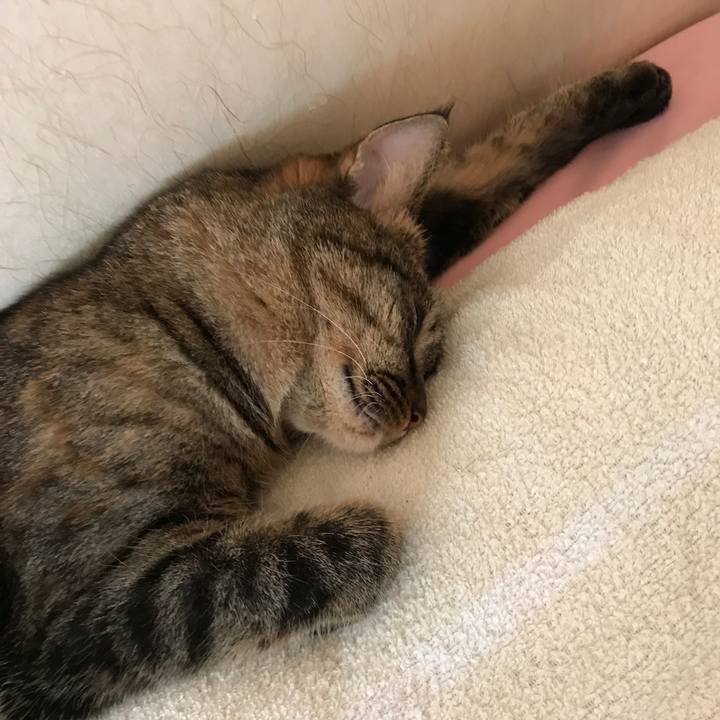 64e14566 5be1 41dd 9d64 620baa5b5d69