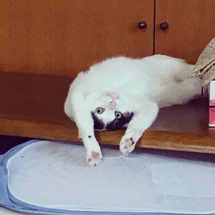 64e2151a 4219 4139 b846 a2d9f42708c3