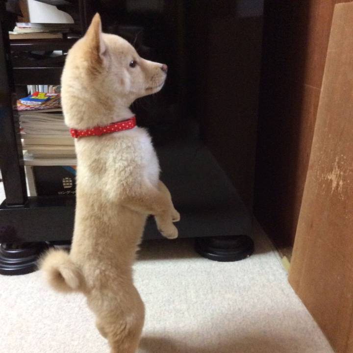 64e23f1c e78f 47ea a64c 77b26c46a015