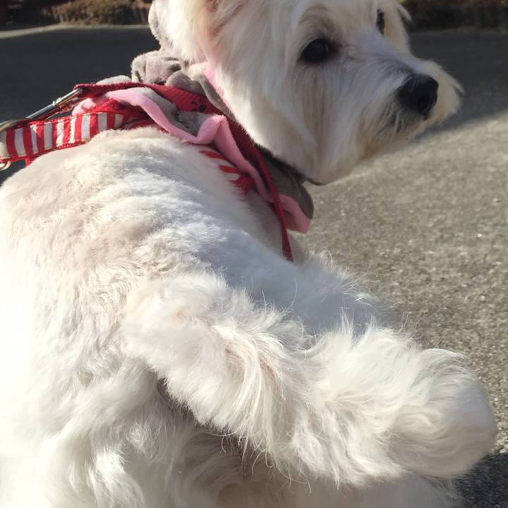 64e276ca 8cae 4be0 9329 0783fee89c42