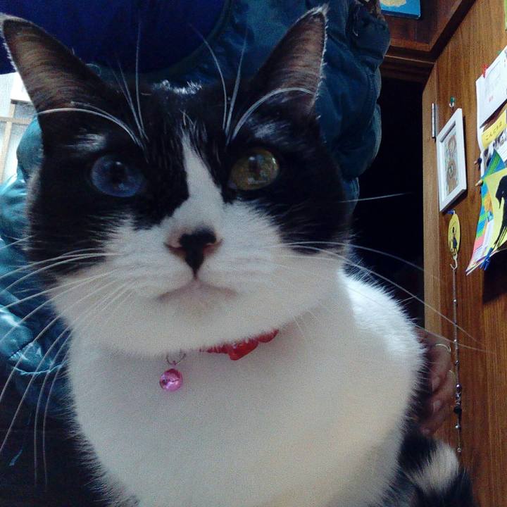 64e2de61 e3f6 48f6 b9f8 7a3ec8b7dd95