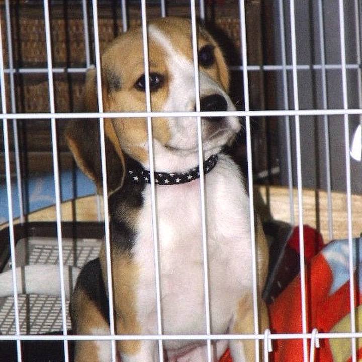 64e33bb6 0b0f 474f b333 a72c5ebe8238