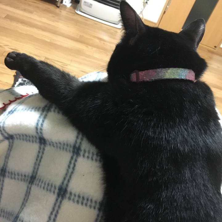 64e34be6 0633 42ba 92c6 bf642940378c