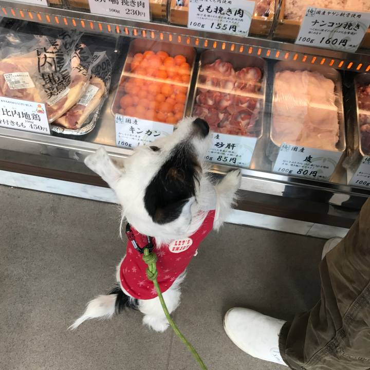 64e3cb4b 035f 4ea3 b859 0942d29eb4d2