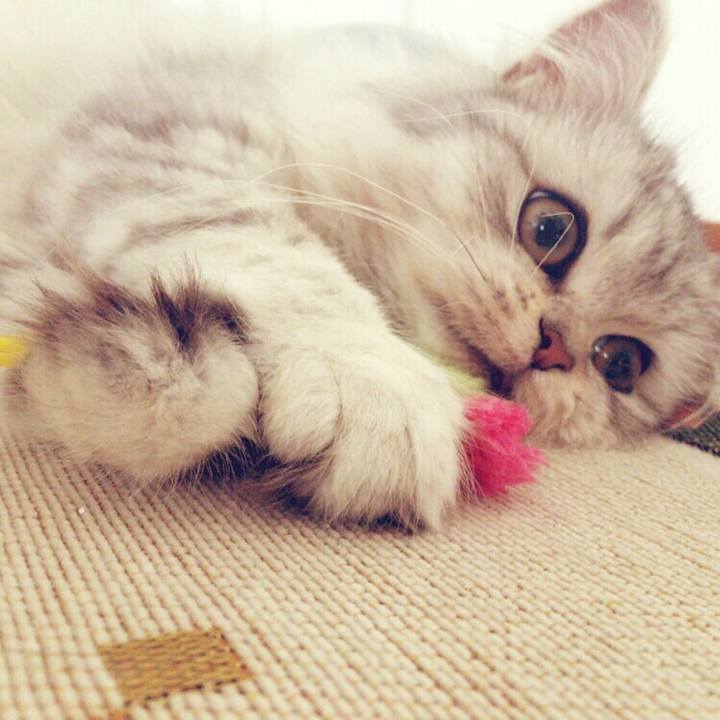 64e48453 348b 4663 9770 56162d43ba9b