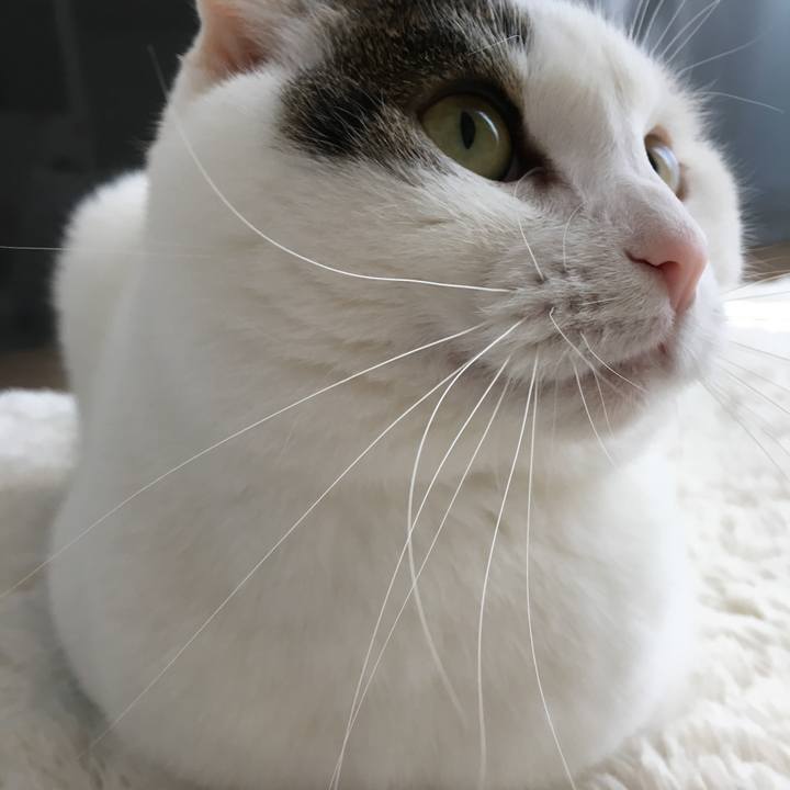 64e5d8d0 05ce 4d44 bd1d 6e276ee41af7