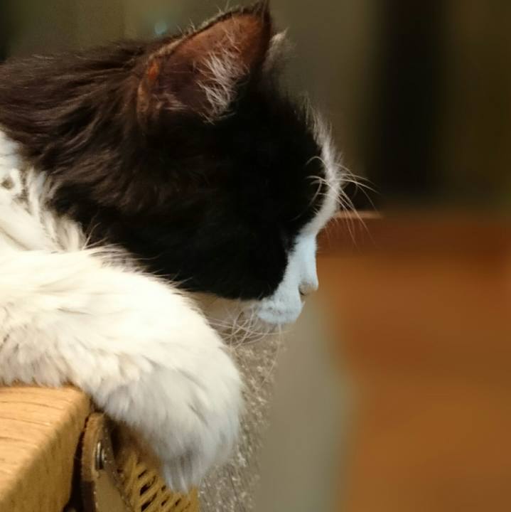 64e5f335 681d 48c0 a52f f816a43784a5