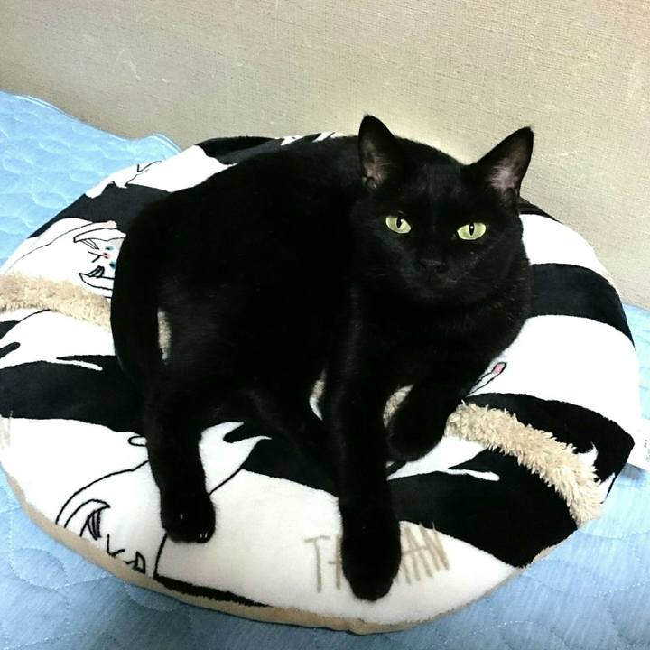 64e62877 bb77 4250 812e 2c0f75cdad90