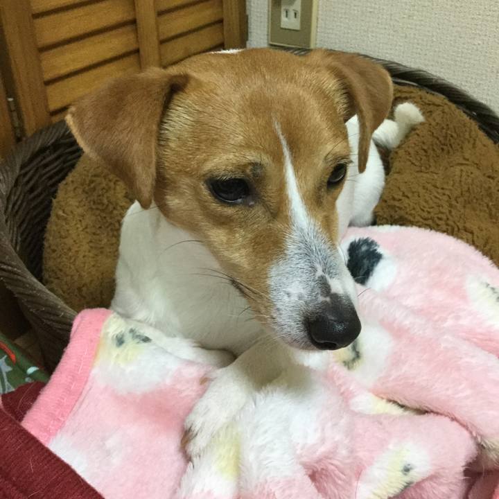 64e66f13 015c 4e88 aec4 31a0cb4a61d7