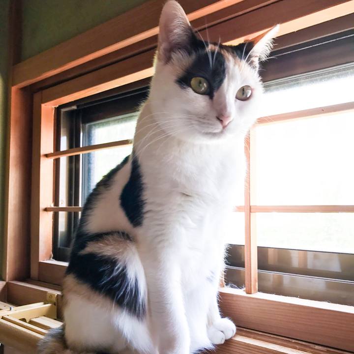 64e6b9d2 0b48 4453 8b93 f73a2373c0bb