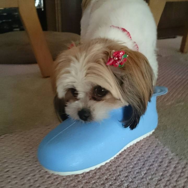 64e6c1ab bb80 4e8e 9683 4dd9e51f6f94