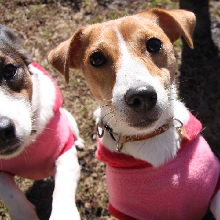 64e761c8 1f43 4289 8f30 ead1362f555d