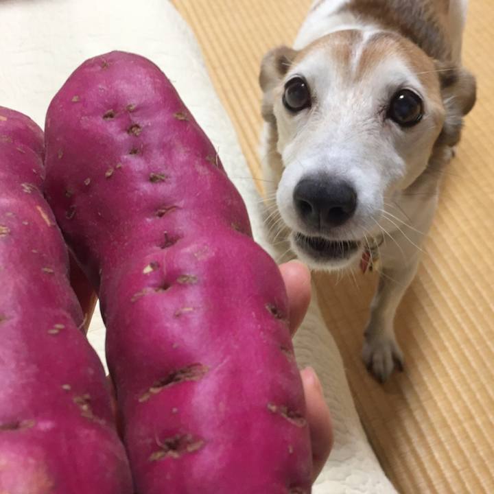 64e7ae6b 25c0 44a5 b969 e4b6c0929850