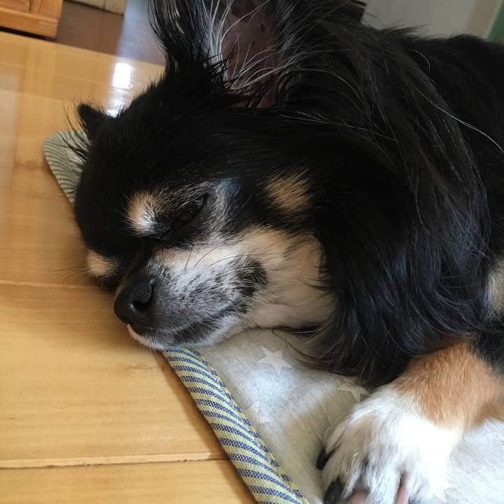 64e812b5 2556 4244 b89a d214e98d0202