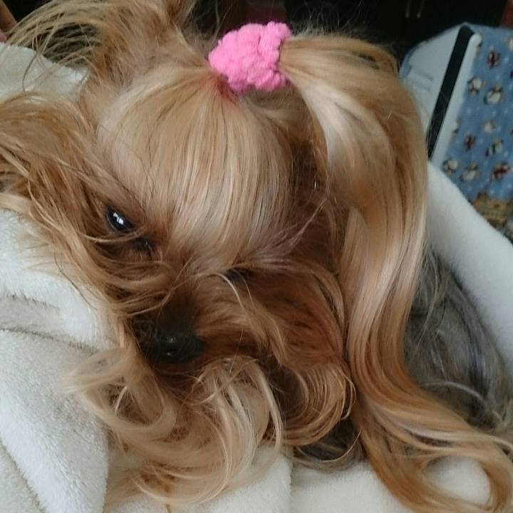 64e881c7 fb56 4501 a06e f04115bf78a1