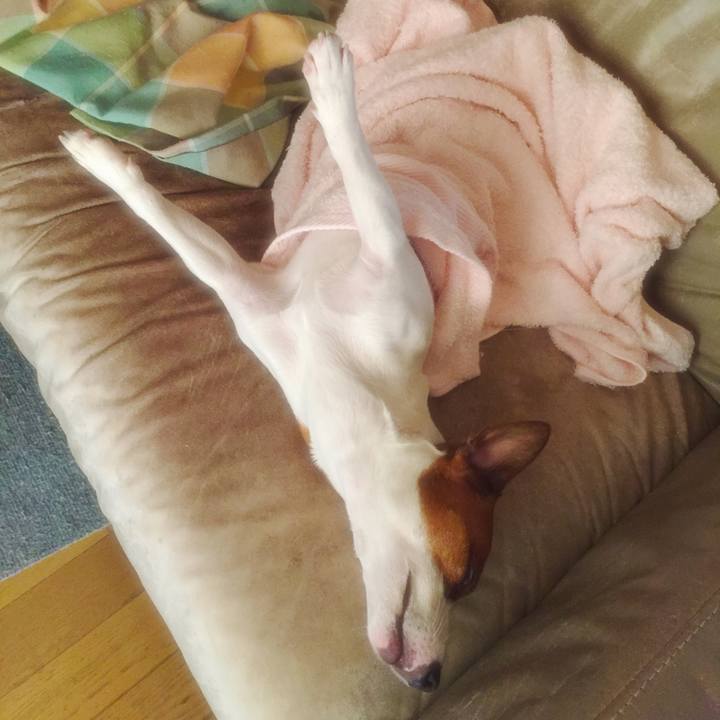 64e8fc47 38f6 461e bd1f b6ce09d3f8bf