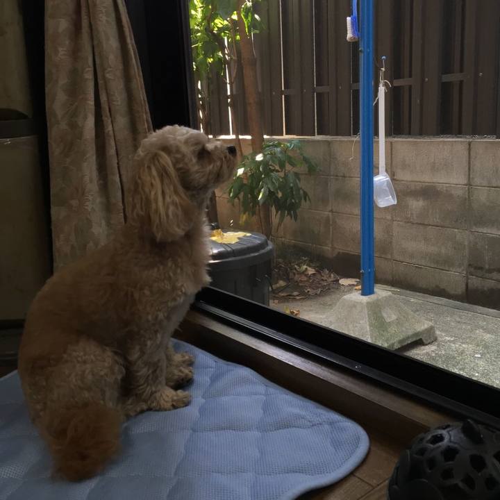 64e9074b 3189 4b62 86e0 9d9a1011a517