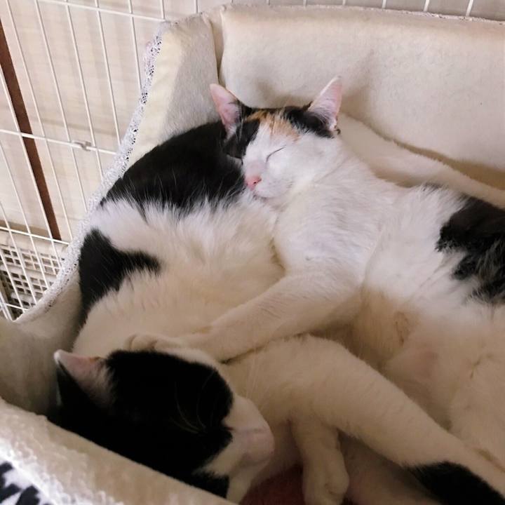 64e97900 9e11 4649 9352 18b4c3f96dd1