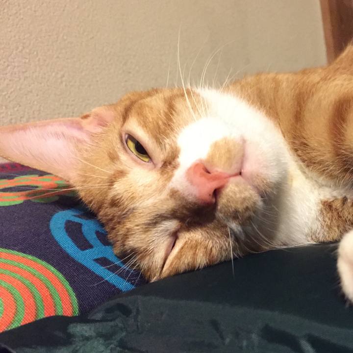 64e9a609 da81 463a a645 36d47bd1845b