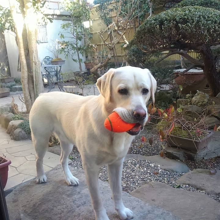 64e9d7ed 330b 4bba 9c45 7056d774d96a