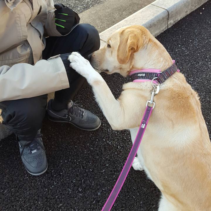 64ea4643 eb0d 470c 9ca9 5112a97ecf5c