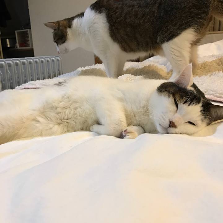 64ea5397 75a6 4bd1 8ce2 8eeb7e4b15bb