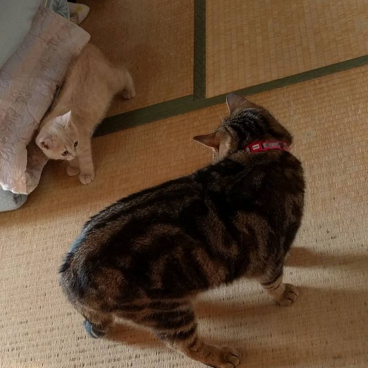 64ea6ec9 4c51 4c9b a8be ca13dbbe2938