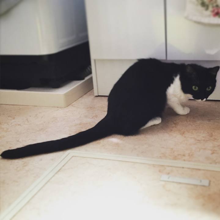 64eb45d0 37db 4f18 95a5 618f8b24fe80