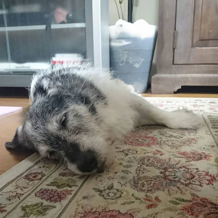 64eb68ec 16c0 4a8c a39d 0e90b3dbf775