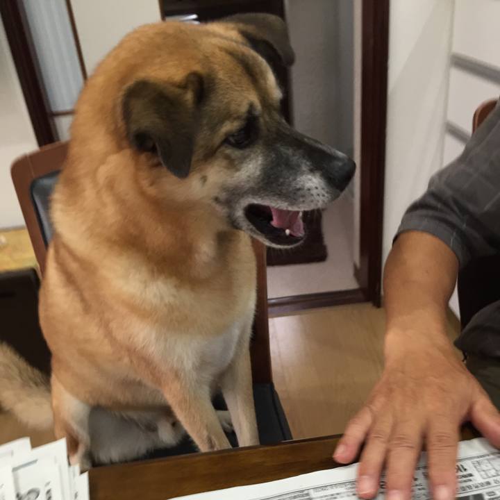 64eb7cd1 88c1 4415 afda 2836eb180e49