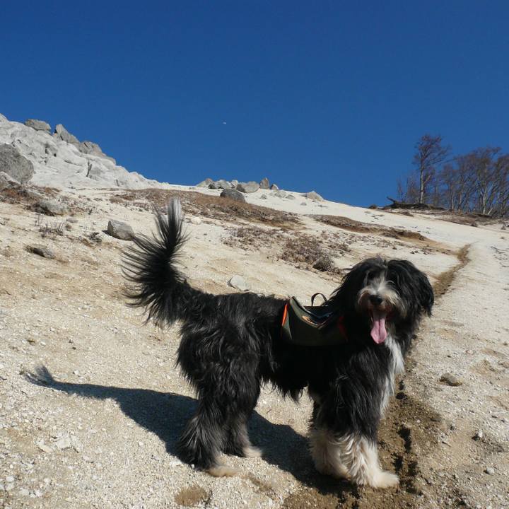 64ec0b88 c200 4f3b 897e 5b39f75c96fe