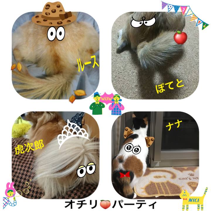 64ec17a5 fa40 441d 8e87 2e8023a701a4