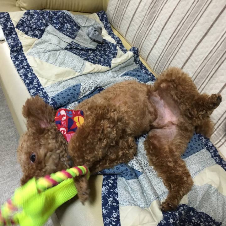 64ec5198 d6fd 47e7 b963 cbf9a0185756