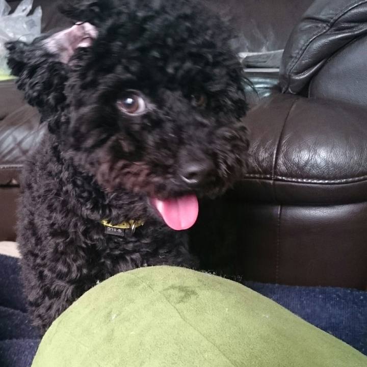 64ed1f1c 7876 4ab5 8465 62d6ddbc65a3