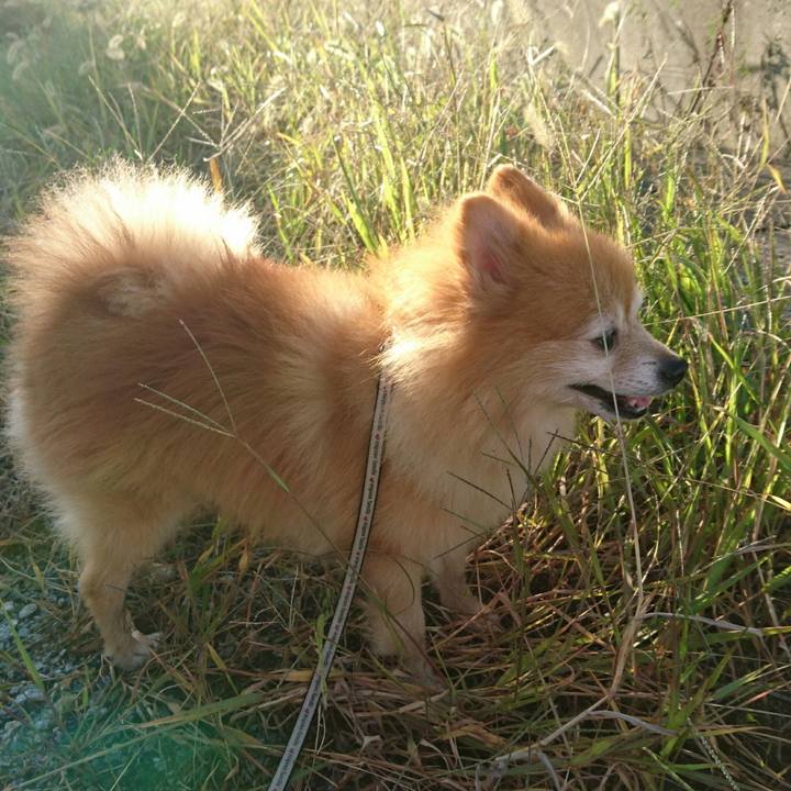 64ed8162 a3e8 4397 b795 26f2bbdb65a3