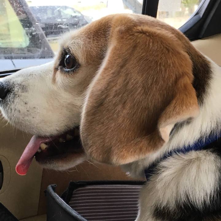 64ed8333 1b09 4a8b 8dee 9fccc4064b8e