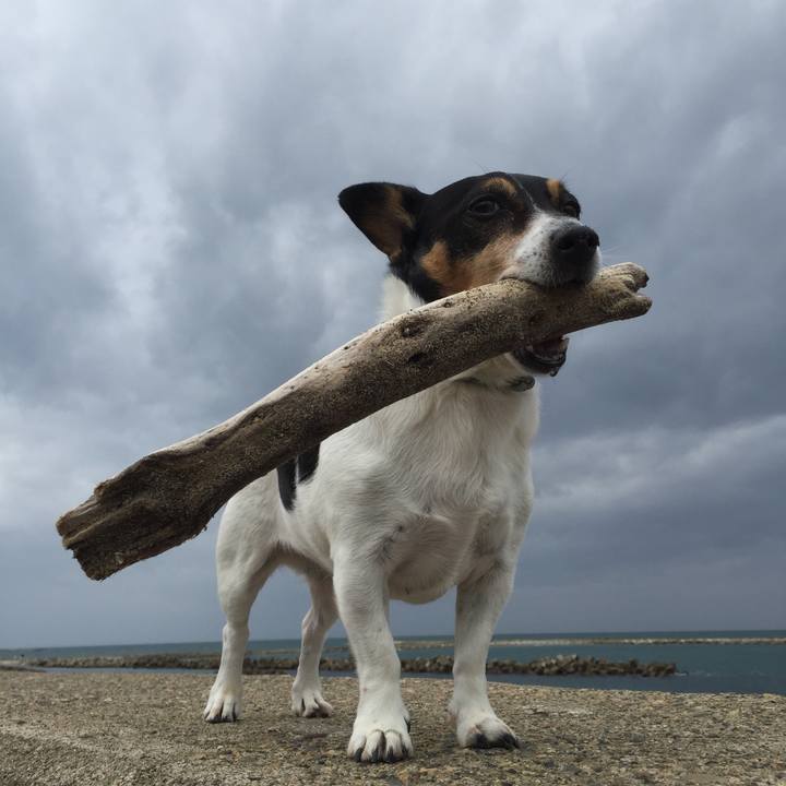 64eecc67 21e4 4fd4 8f3f aaf35b633105