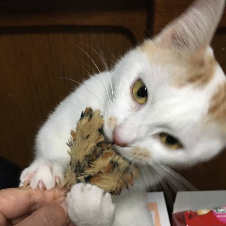 64eef285 d8ef 46d6 8e90 e1ce7bb78a99