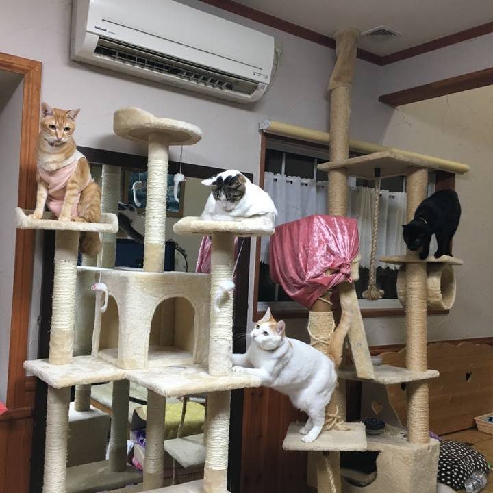 64ef256d ee06 4e55 ab2c 51c31556f093