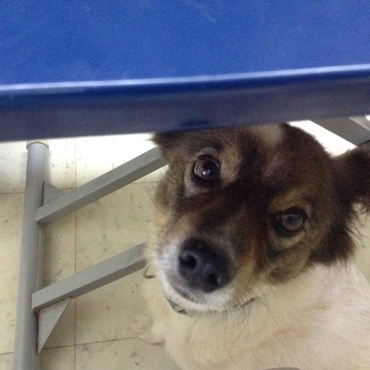 64ef9cfe cdcc 45ff 93d6 4038543a011e