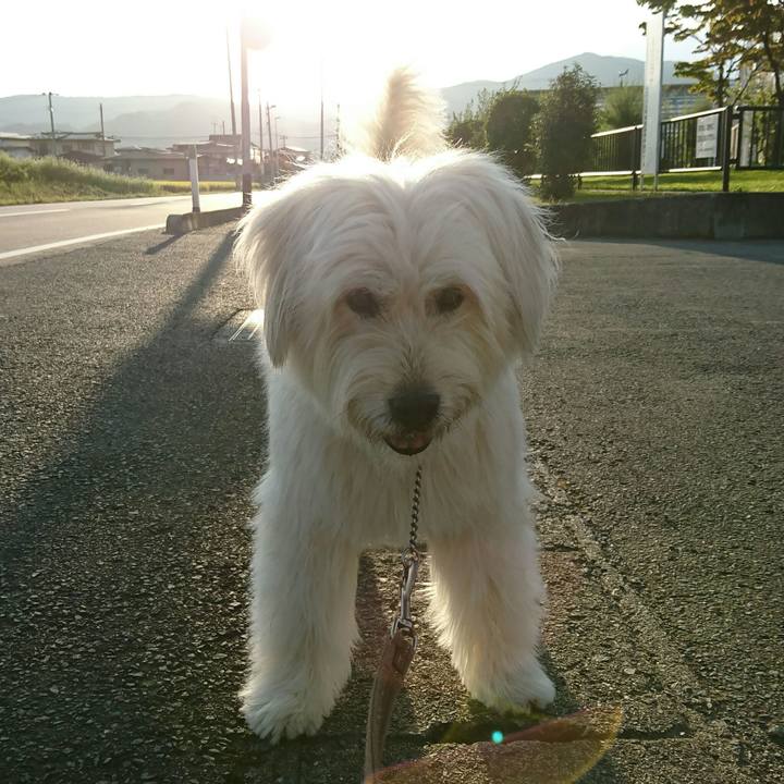 64efdbd5 04ed 410d 97c5 5c07d9eb70a2