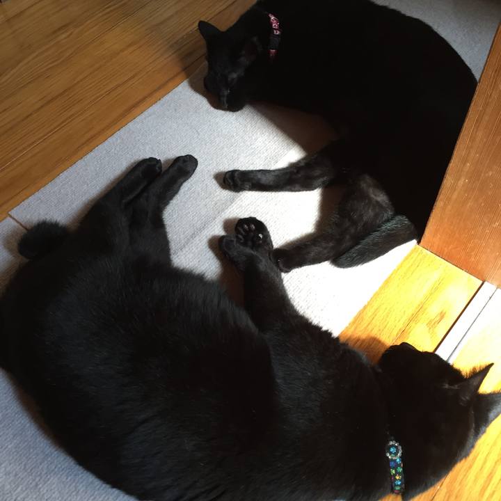 64f07e52 7286 4a21 a41c 1795f1cabbfc