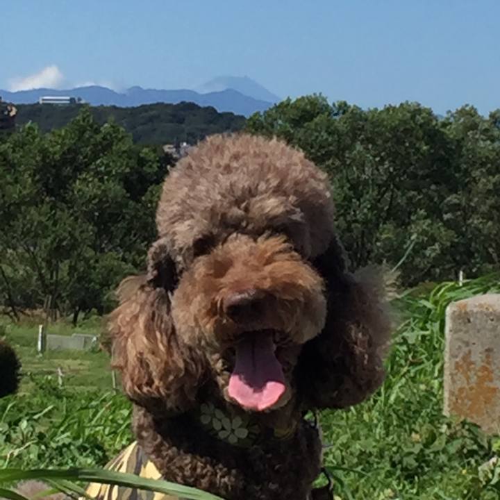 64f19e96 ed1f 4d28 9afe 2f4980df03ff