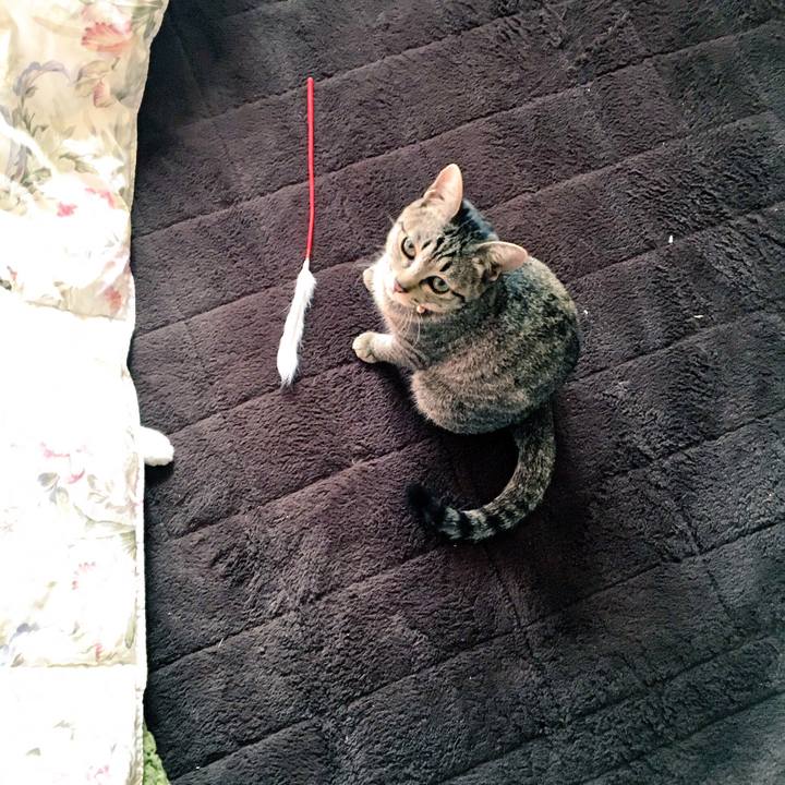 64f1e899 45ad 49e5 9810 bfb6031b2a71