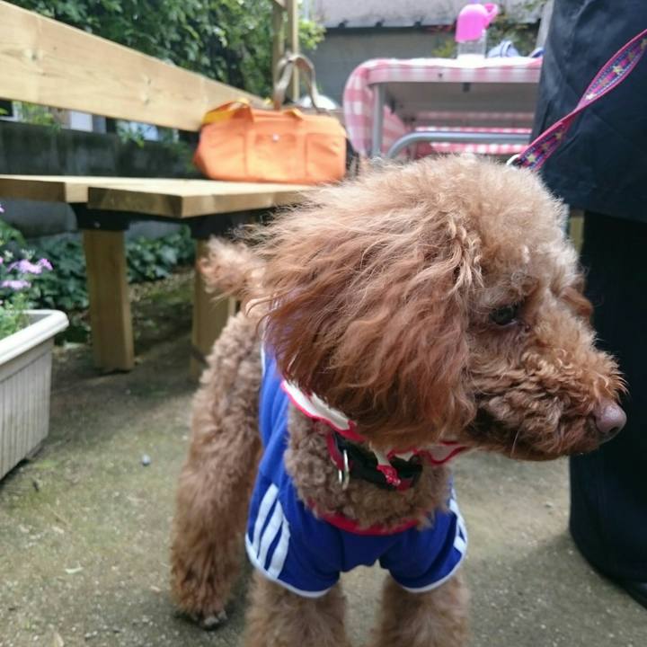 64f1f8b4 69b9 4765 ab96 6e1f91277e02