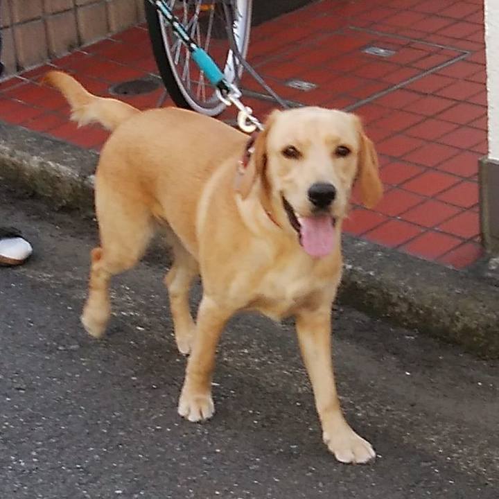 64f1fff4 3777 4d59 a0d8 fb3cf195e446