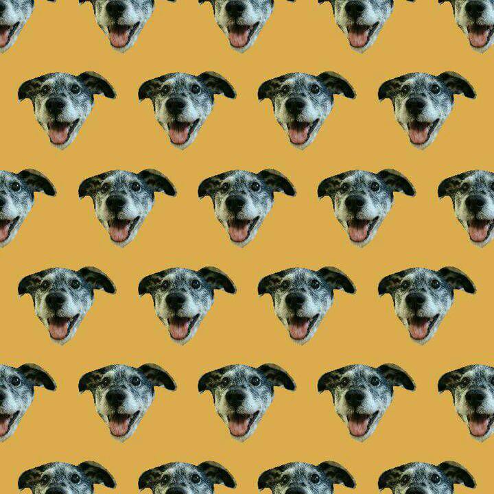 64f25299 5cbe 496e 940c cdbe51835813