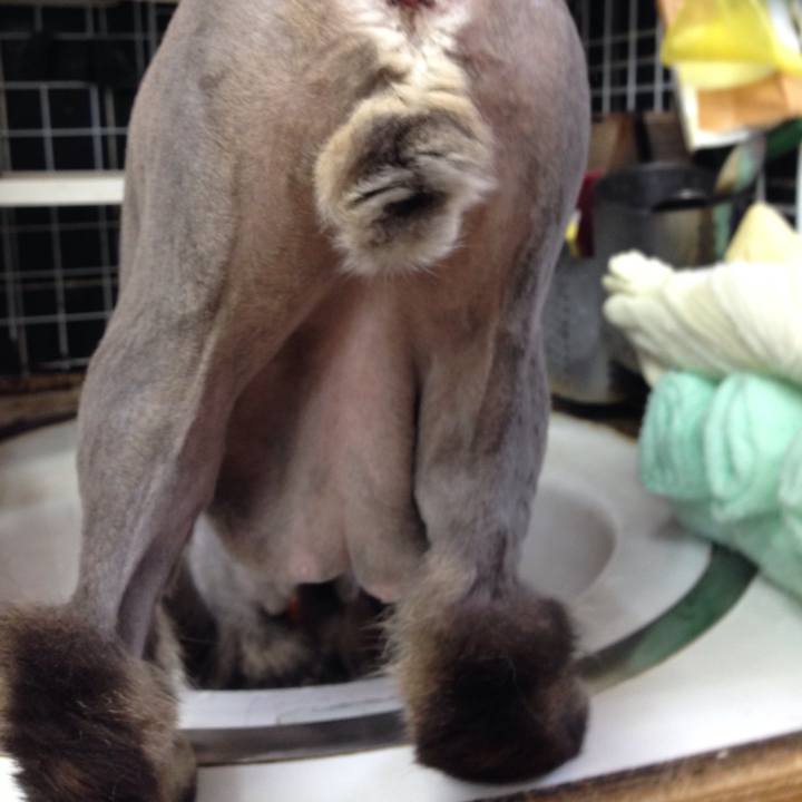 64f2f864 7e96 418f 9125 fecba047d4cc