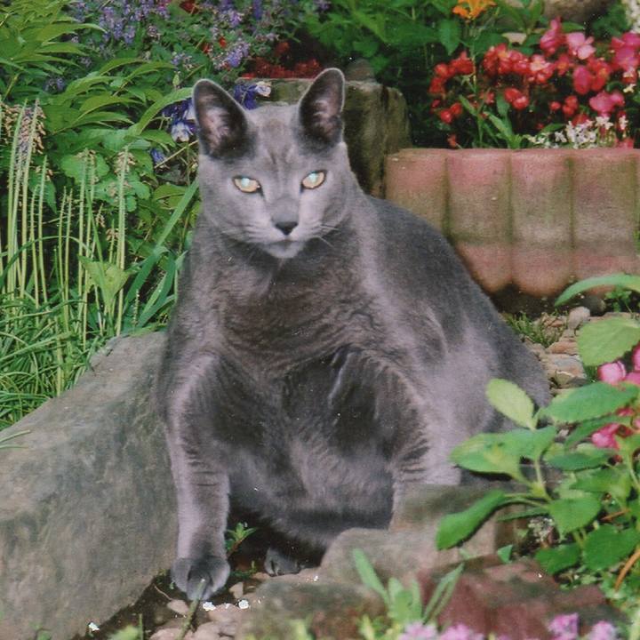 64f3401b 9560 4031 bb2c fff3237597f3