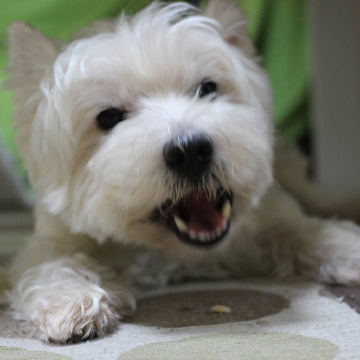 64f35e62 ffc1 4a63 a015 3c2eda0abc23